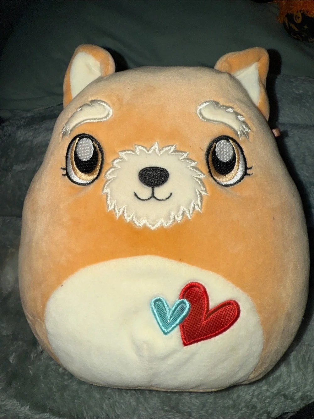 Squishmallows Orange Puppy with Red & Teal Heart Accents
